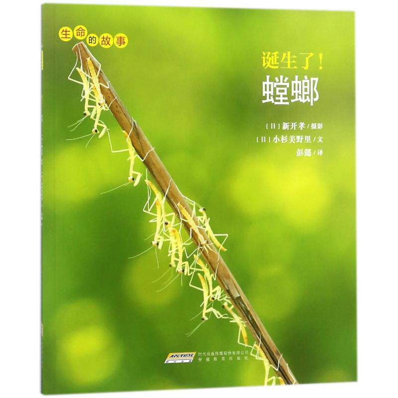 【正版书】 生命的故事:诞生了螳螂；辑 [日]小杉美野里,彭懿 安徽教育出版社