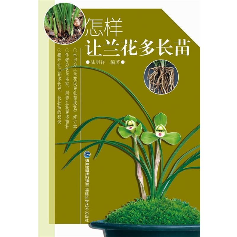 【正版书】 怎样让兰花多长苗 陆明祥 福建科技出版社