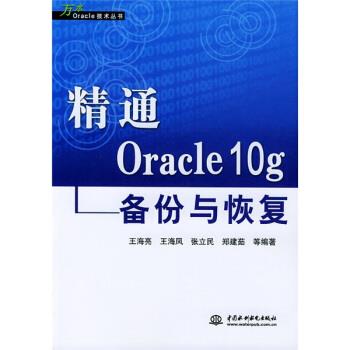 【正版书】 精通Oracle10g备份与恢复 王海亮等 著 中国水利水电出版社