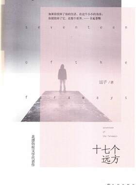 【正版现货】十七个远方 远子