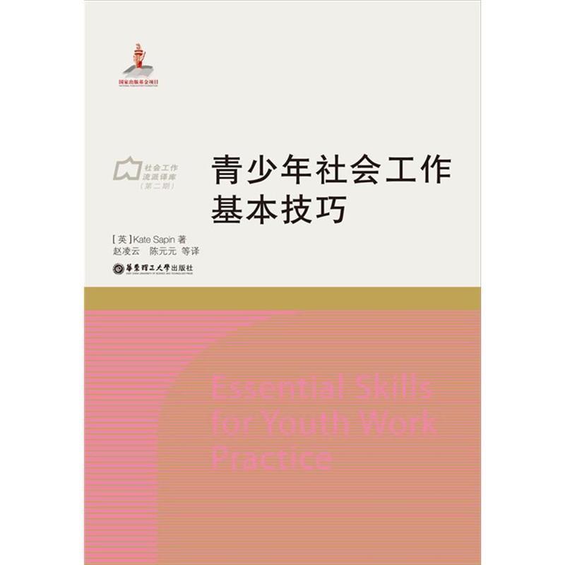 【正版书】 青少年社会工作基本技巧 赵凌云 华东理工大学出版社