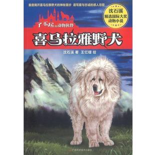 喜马拉雅野犬 了不起 广西科学技术出版 正版 社 王忆镭 书 沈石溪 动物伙伴