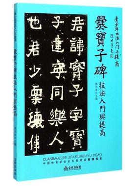 【正版书】 《爨宝子碑》技法入门与提高 雅风斋 主编 金盾出版社