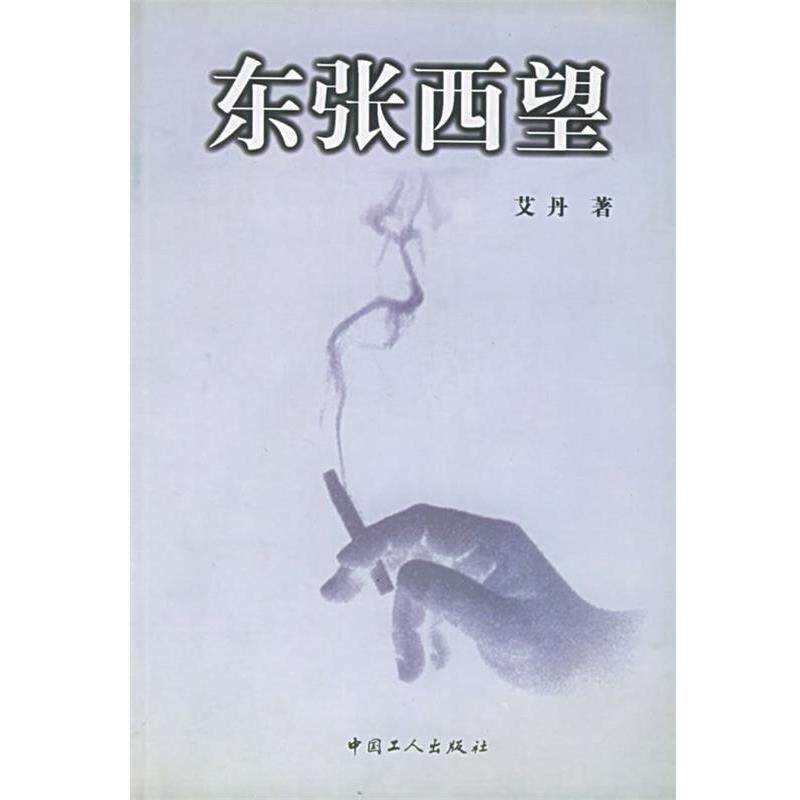 【正版书】 东张西望 艾丹 著 工人出版社