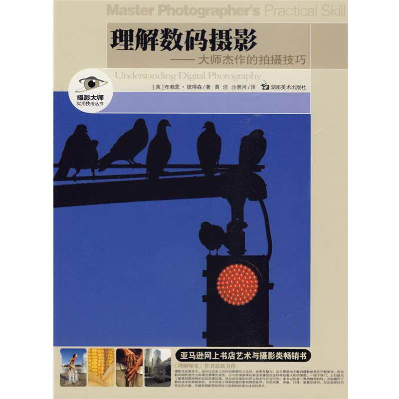 【正版书】 摄影大师实用技法丛书 理解数码摄影-大师杰作的拍摄技巧 (美)彼得森 著,黄洁,沙景和 译 湖南美术出版社