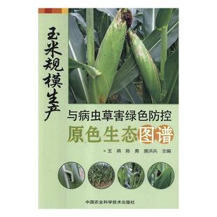 【正版书】 玉米规模生产与病虫草害绿色防控原色生态图谱 王燕,陈勇,唐洪兵 著 中国农业科学技术出版社