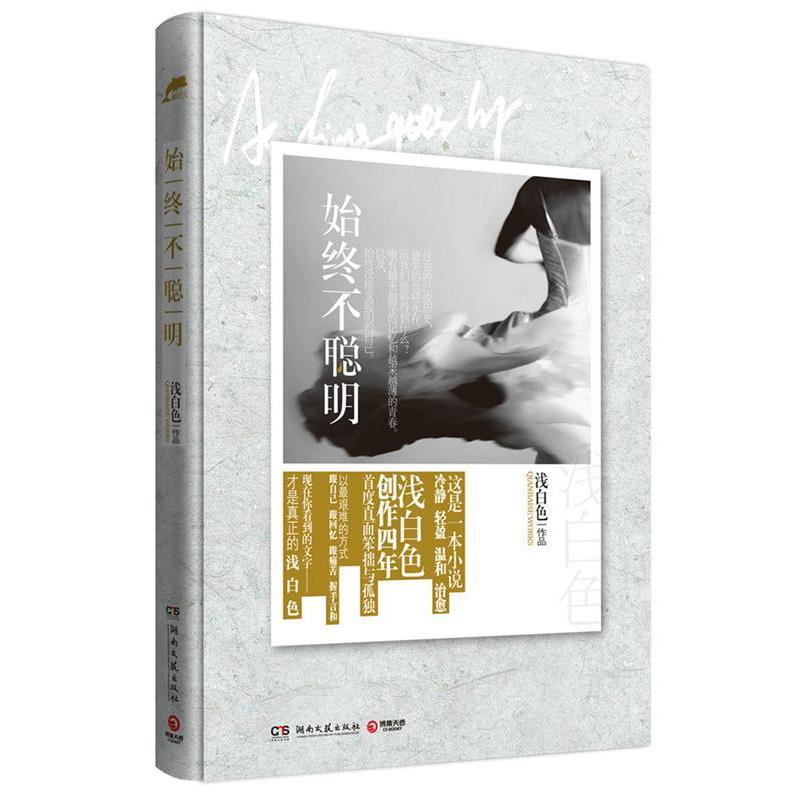 【正版书】 始终不聪明 浅白色 著 湖南文艺出版社