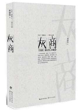 【正版书】 灰商 曹建伟 长江文艺出版社
