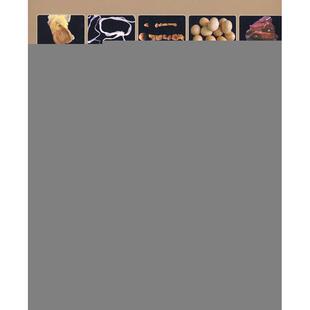 【正版书】 禽病彩色图谱 陈理盾,李新正,靳双星 辽宁科学技术出版社