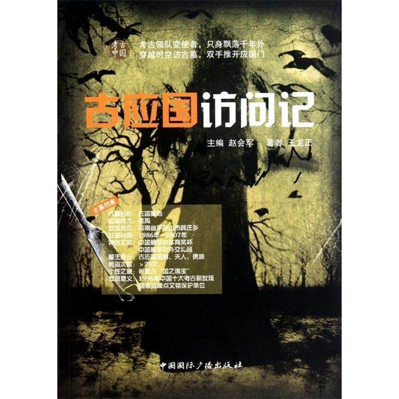 【正版书】 古应国访问记 王龙正　等著 中国国际广播出版社