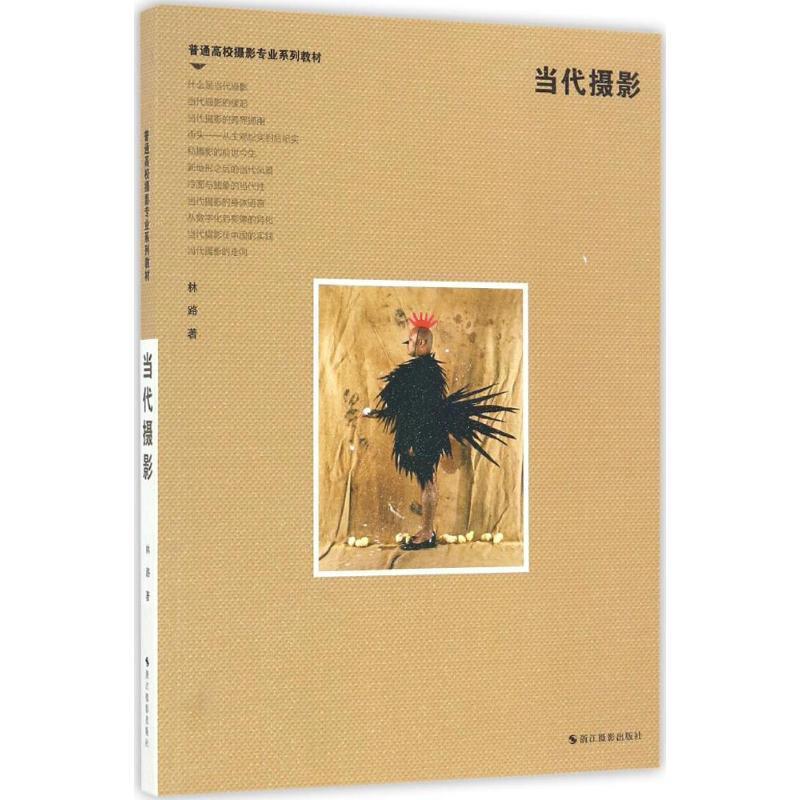 【正版书】 普通高校摄影专业系列教材:当代摄影 林路 浙江摄影出版社