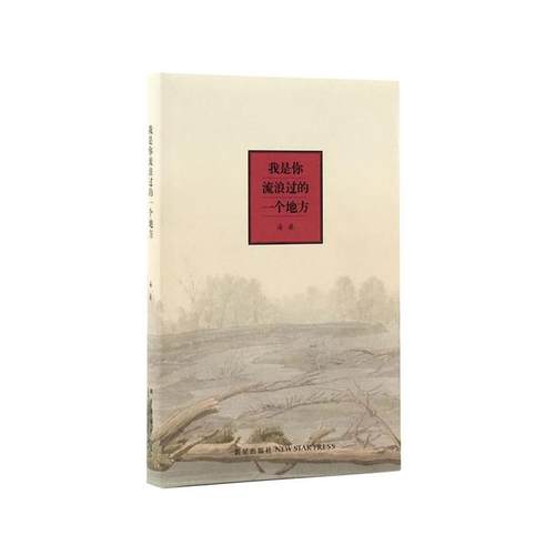 【正版书】 我是你流浪过的一个地方 海桑著作 新星出版社