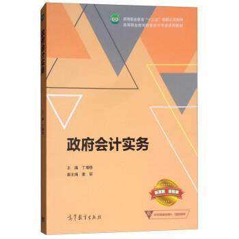 【正版书】 政府会计实务 丁增稳,唐丽 高等教育出版社