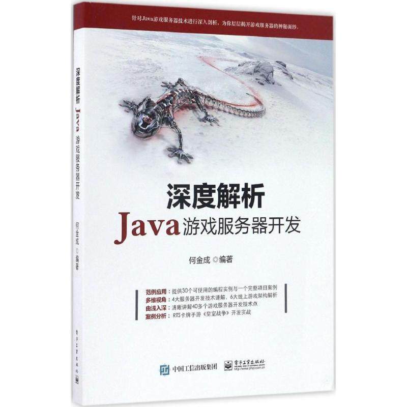 【正版书】 深度解析Java游戏服务器开发 何金成 著 电子工业出版社
