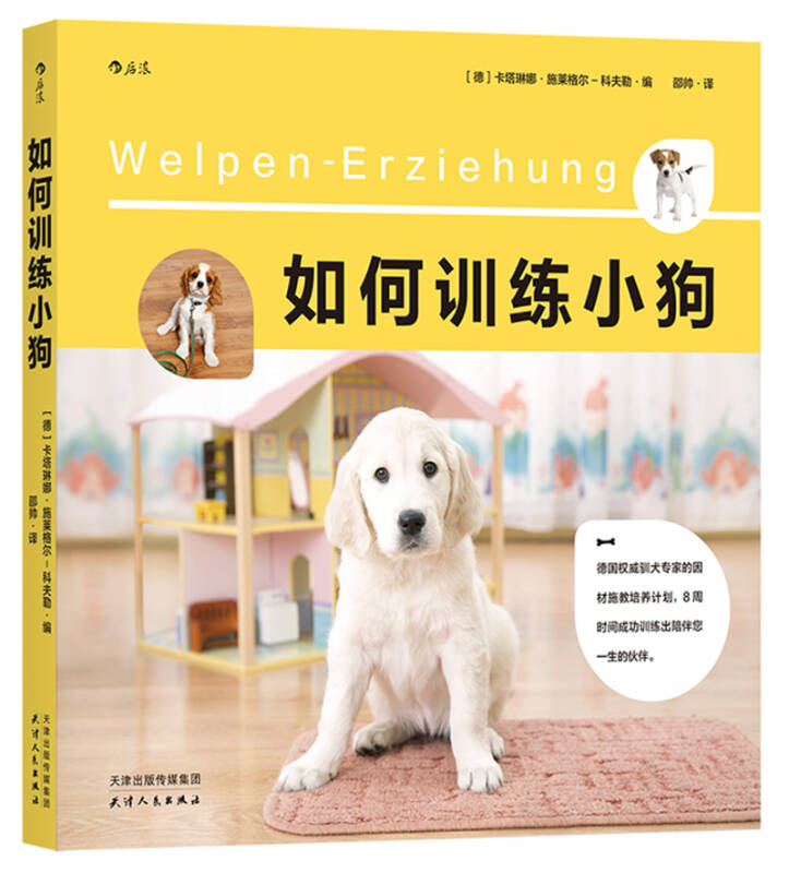 【正版现货】如何训练小狗