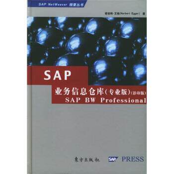 【正版书】 SAP NetWeaver精要丛书SAP业务信息仓库 艾格 著 东方出版社