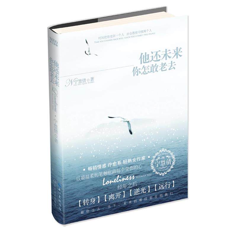 【正版书】 他还未来你怎敢老去 宁慧倩　著 长江文艺出版社
