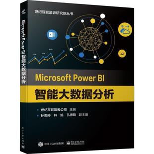 【正版书】 MICROSOFT POWER BI智能大数据分析 世纪互联蓝云公司 电子工业出版社