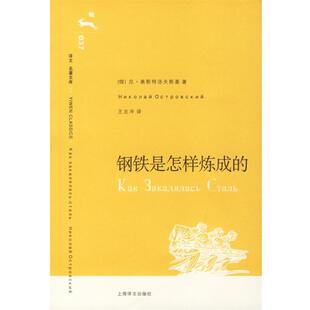 【正版书】 钢铁是怎样炼成的 (俄)奥斯特洛夫斯基 著,王志冲 译 上海译文出版社