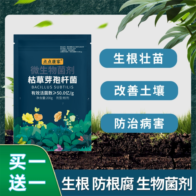 枯草芽孢菌杆菌农用桂花兰花专用微生物菌剂土壤活化剂生根肥料