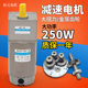 250W大功率直流齿轮减速电机12V24V可调速低转速马达正反转小电机