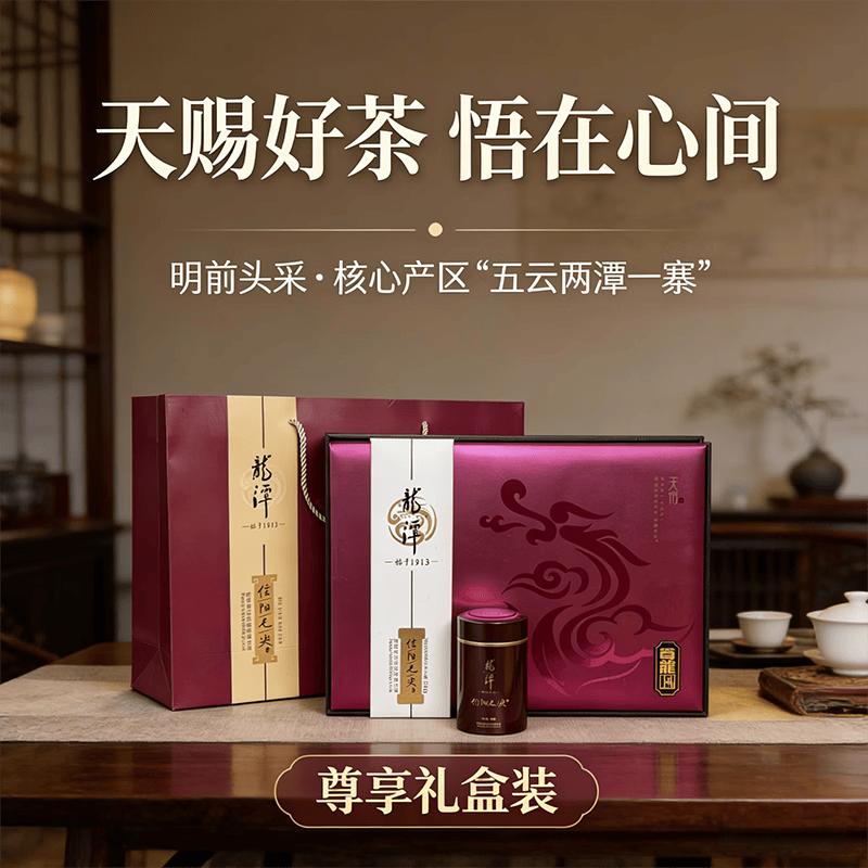 2026年上市新茶芽茶龙潭信阳毛尖明前特级珍品天悟300g礼盒装绿茶