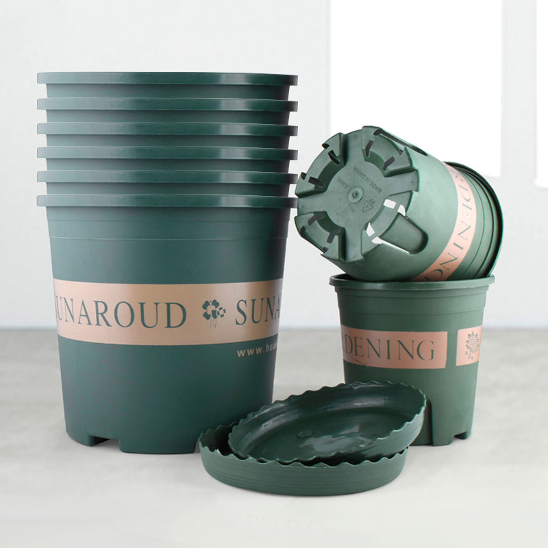 塑料花盆矮胖加仑绿萝月季