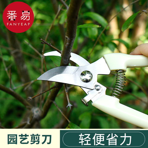 剪刀/园艺B1zoq001-修枝剪刀修剪树枝花卉修花剪刀园林园艺采摘