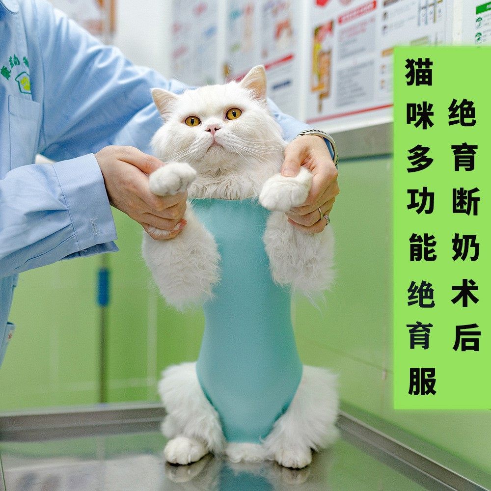 宠物防舔防咬术后服猫咪绝育服母猫手术服断奶服猫狗产后恢复衣服