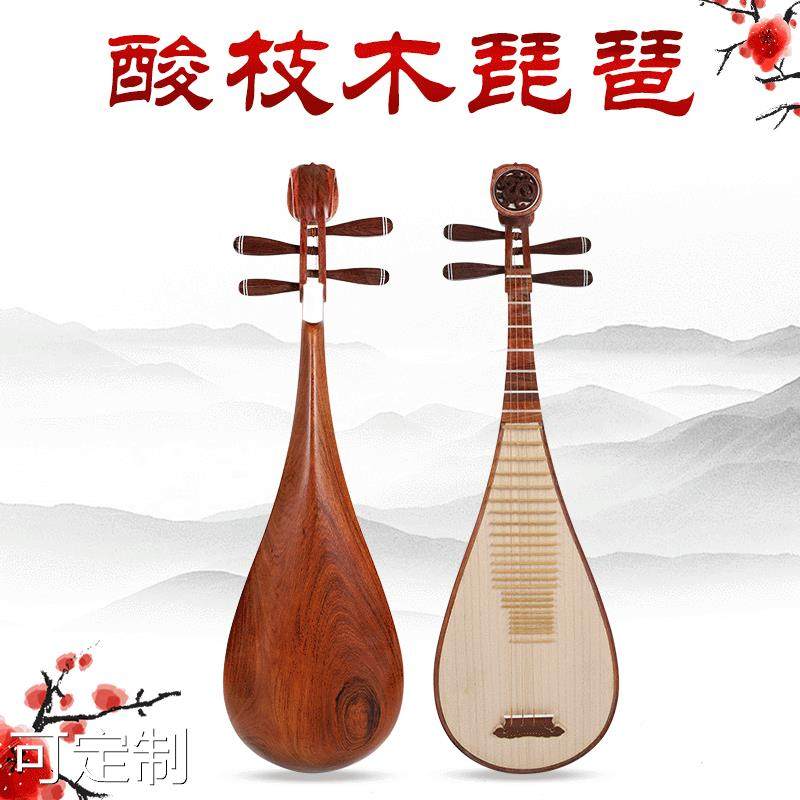 成人琵琶初学教学乐器送包配件练习琴花梨贝雕酸枝木琵琶