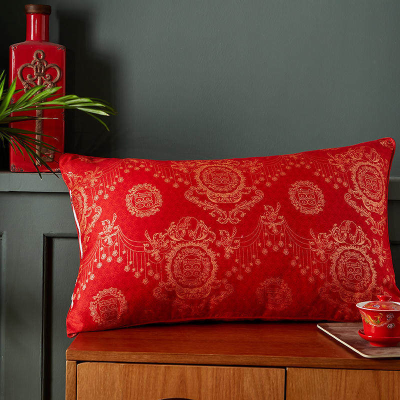 喜庆抱枕芯抱枕含芯抱枕套60x60大红结婚枕头磨毛喜庆婚庆