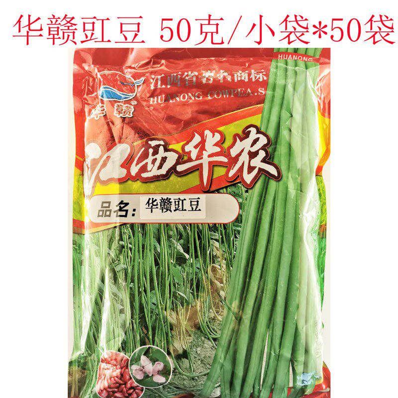 豇豆种籽高产春秋大田翠绿耐热无鼠尾顺直长豆角种子