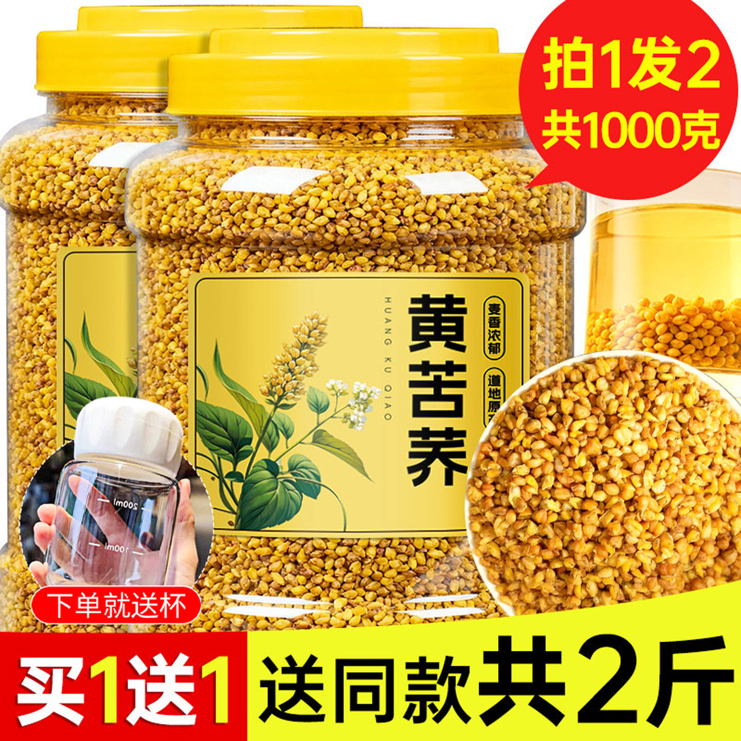 大凉山黄苦荞茶黑苦荞大凉山麦香型荞麦茶官方旗舰店饭店泡水茶包