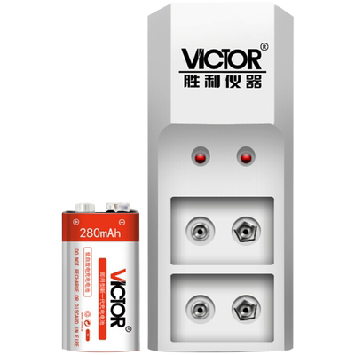 胜利大容量充电电池套装