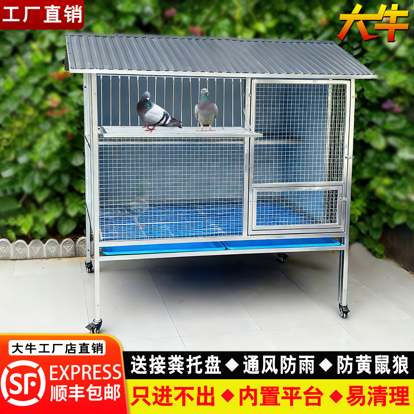 大牛鸽子笼家用大号特大只进不出捕捉室外养殖专用新型自动鸽子笼