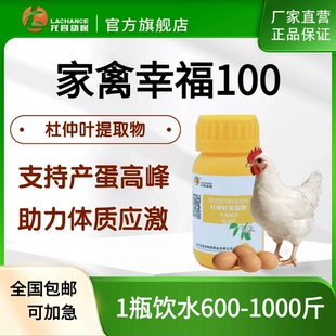 龙昌幸福100家禽肉鸡用增免疫促卵泡发育提产蛋延长产蛋期早出栏