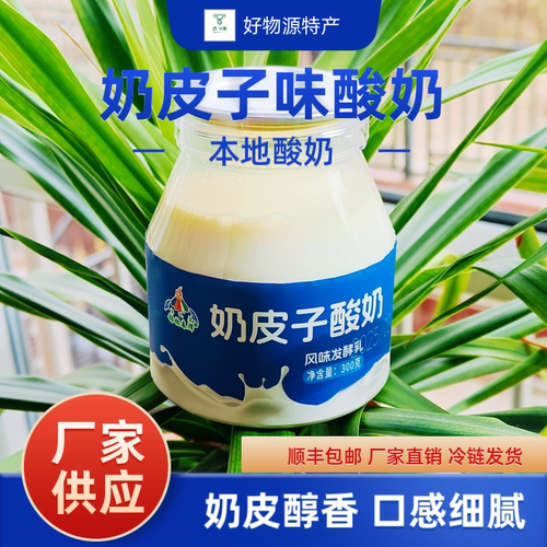 锡林春泽奶皮子发酵乳酸奶300g