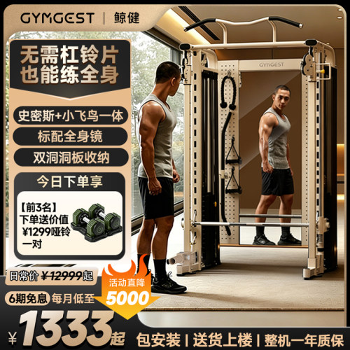 GYMGEST鲸健史密斯机多功能健身