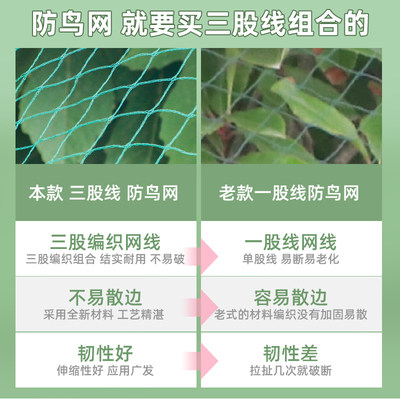 果树防鸟用的网樱桃树网嘉宝果树网家用草莓果树网罩菜园大棚罩纱