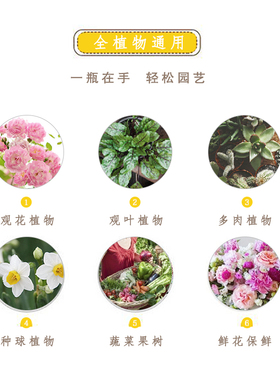 HB-101活力素日本植物活力液营养液花肥料促生根发芽促开花通用型