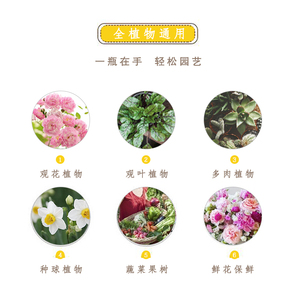 HB-101活力素日本植物活力液营养液花肥料促生根发芽促开花通用型