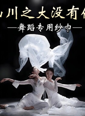 山川之大没有你丝巾舞蹈道具纱巾白色透明古典舞跳舞专用演出头纱