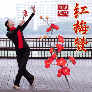 红梅赞舞蹈道具花枝仿真梅花枝折枝盼古典舞跳舞专用手持表演道具