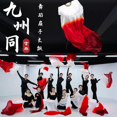 古典舞跳舞专用长绸舞蹈扇子