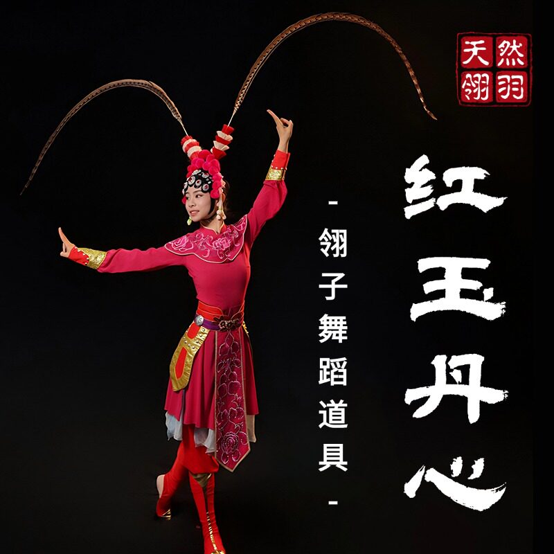 红玉丹心头饰翎子舞蹈道具翎羽京剧戏曲中国风古典舞表演专用道具
