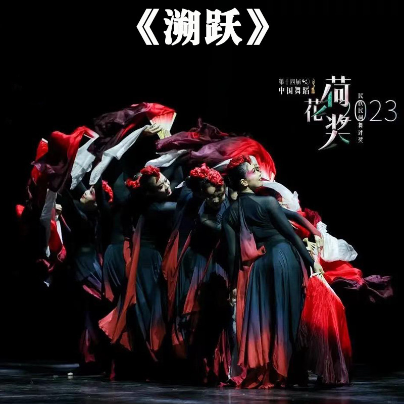 荷花奖溯跃同款舞蹈扇子