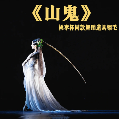 杨春莹山鬼同款舞蹈道具翎毛
