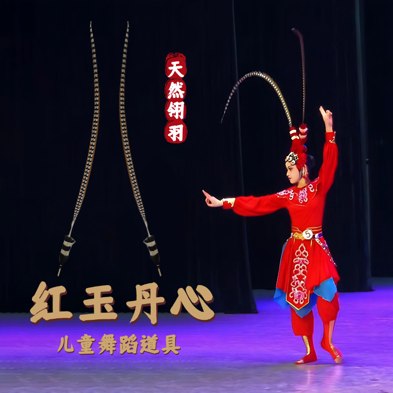 翎子舞蹈道具红玉丹心儿童翎羽头饰京剧戏曲古典舞羽毛表演出道具