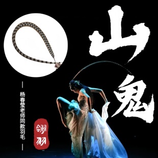 翎子翎毛山鬼舞蹈头饰古典舞跳舞戏剧京剧专用翎羽翎子毛舞蹈道具