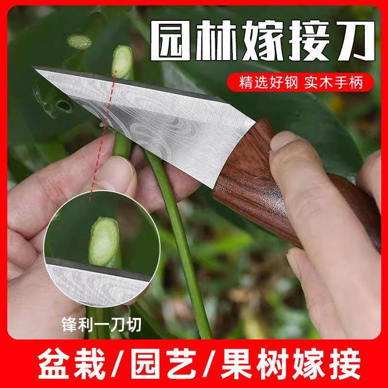 德国精工嫁接专用刀果树植物多肉砍头扦插嫁接神器手工嫁接芽刀膜